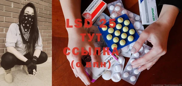 PSILOCYBIN Балахна