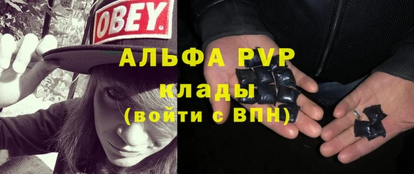 PSILOCYBIN Балахна